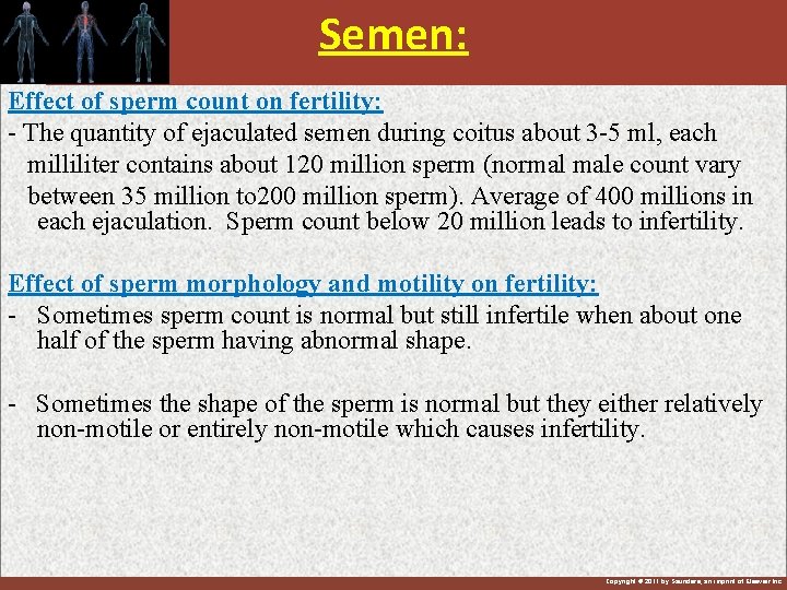 Semen: Effect of sperm count on fertility: - The quantity of ejaculated semen during