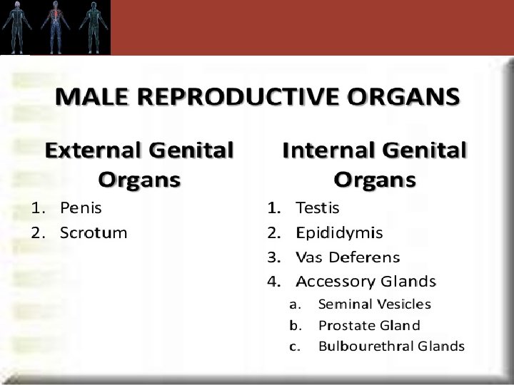 Copyright © 2011 by Saunders, an imprint of Elsevier Inc. 