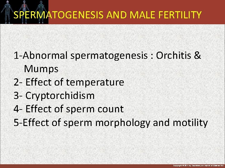 SPERMATOGENESIS AND MALE FERTILITY 1 -Abnormal spermatogenesis : Orchitis & Mumps 2 - Effect
