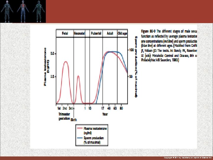 Copyright © 2011 by Saunders, an imprint of Elsevier Inc. 
