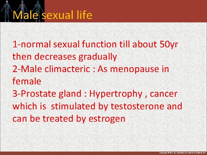 Male sexual life 1 -normal sexual function till about 50 yr then decreases gradually