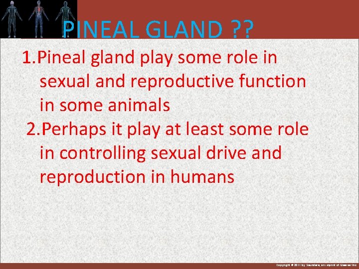 PINEAL GLAND ? ? 1. Pineal gland play some role in sexual and reproductive