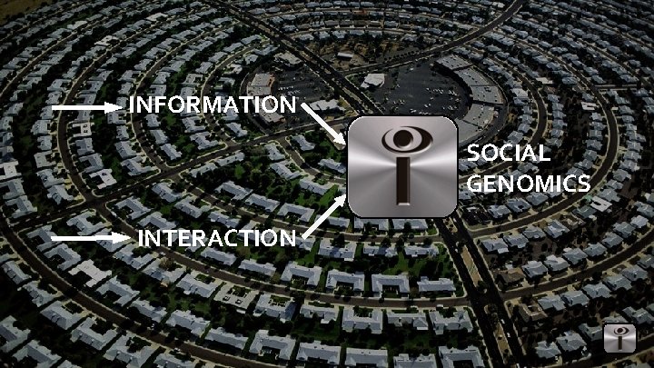 INFORMATION SOCIAL GENOMICS INTERACTION 