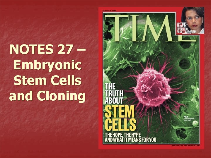 NOTES 27 – Embryonic Stem Cells and Cloning 