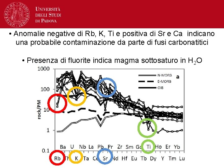  • Anomalie negative di Rb, K, Ti e positiva di Sr e Ca