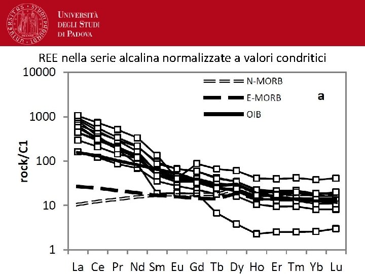 REE nella serie alcalina normalizzate a valori condritici 