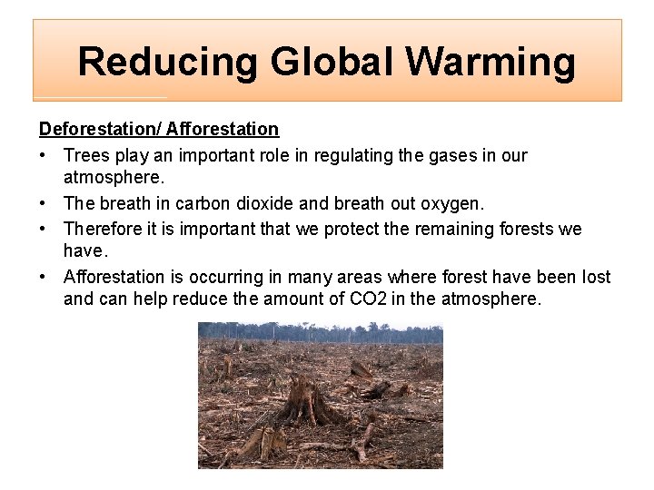 Reducing Global Warming Deforestation/ Afforestation • Trees play an important role in regulating the