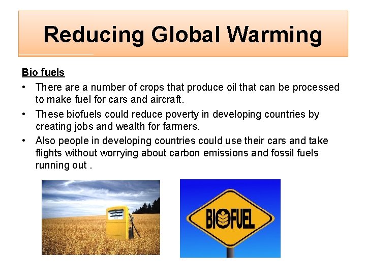 Reducing Global Warming Bio fuels • There a number of crops that produce oil