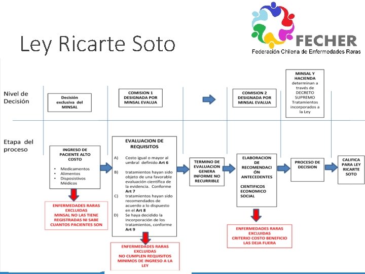 Ley Ricarte Soto 