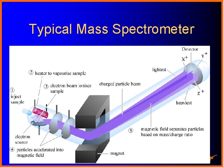 Typical Mass Spectrometer Chemistry 367 L/392 N 