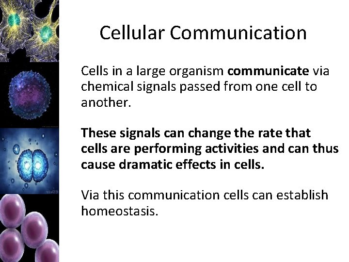 Cellular Communication Cells in a large organism communicate via chemical signals passed from one