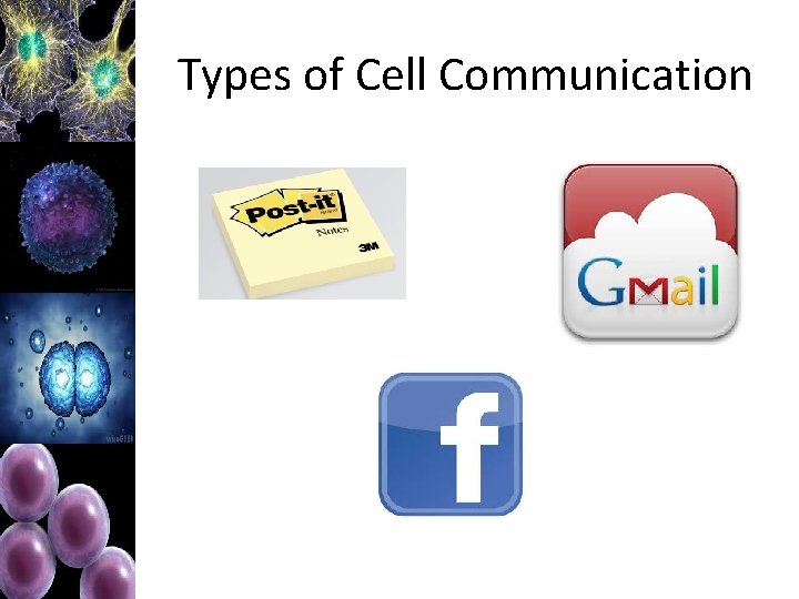 Types of Cell Communication 