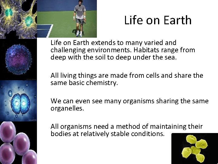 Life on Earth extends to many varied and challenging environments. Habitats range from deep