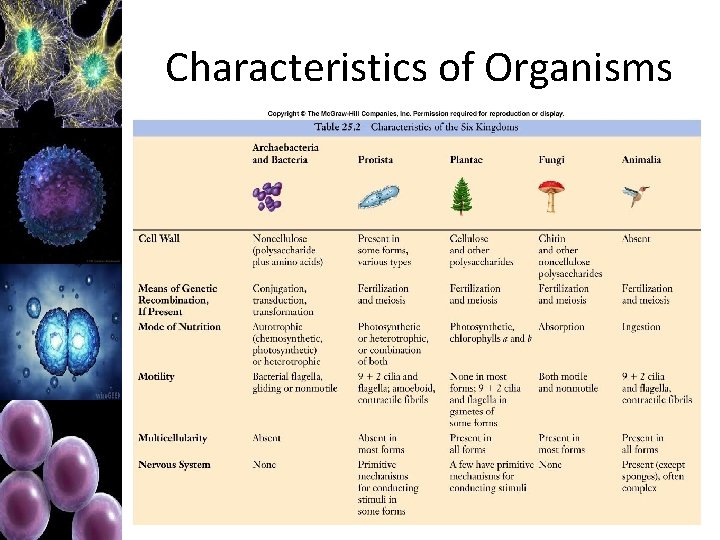 Characteristics of Organisms 