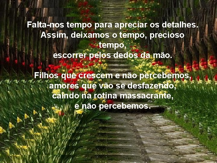 Falta-nos tempo para apreciar os detalhes. Assim, deixamos o tempo, precioso tempo, escorrer pelos