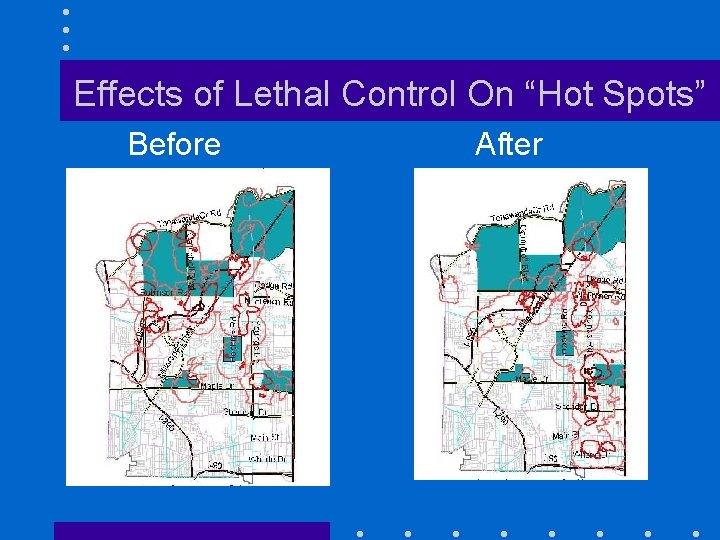 Effects of Lethal Control On “Hot Spots” Before After 