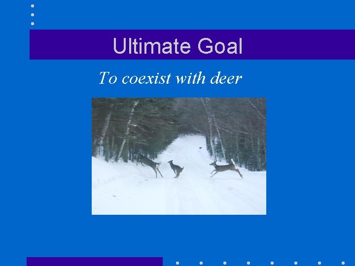 Ultimate Goal To coexist with deer 