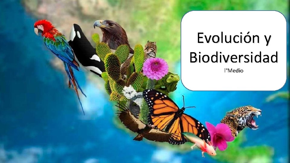 Evolución y Biodiversidad l°Medio 