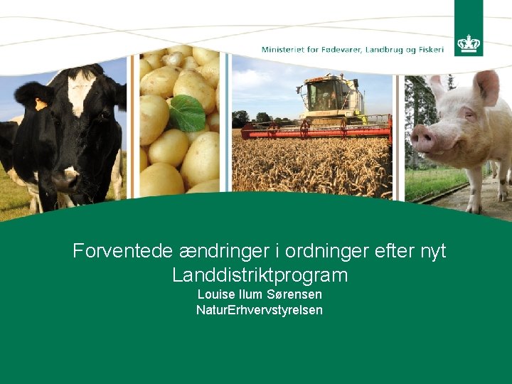 Forventede ændringer i ordninger efter nyt Landdistriktprogram Louise Ilum Sørensen Natur. Erhvervstyrelsen 