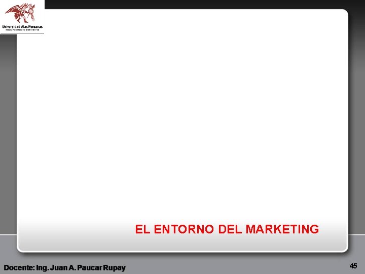 EL ENTORNO DEL MARKETING 45 