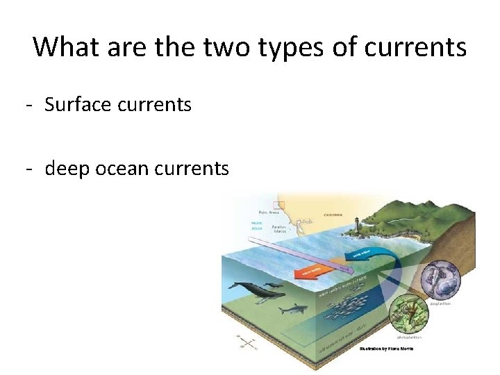What are the two types of currents - Surface currents - deep ocean currents