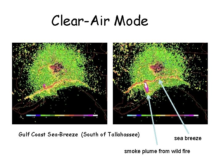 Clear-Air Mode Gulf Coast Sea-Breeze (South of Tallahassee) sea breeze smoke plume from wild