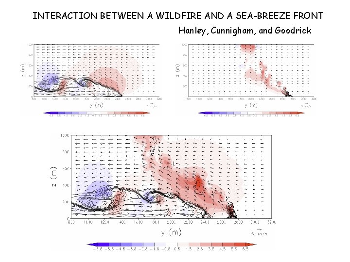 INTERACTION BETWEEN A WILDFIRE AND A SEA-BREEZE FRONT Hanley, Cunnigham, and Goodrick 