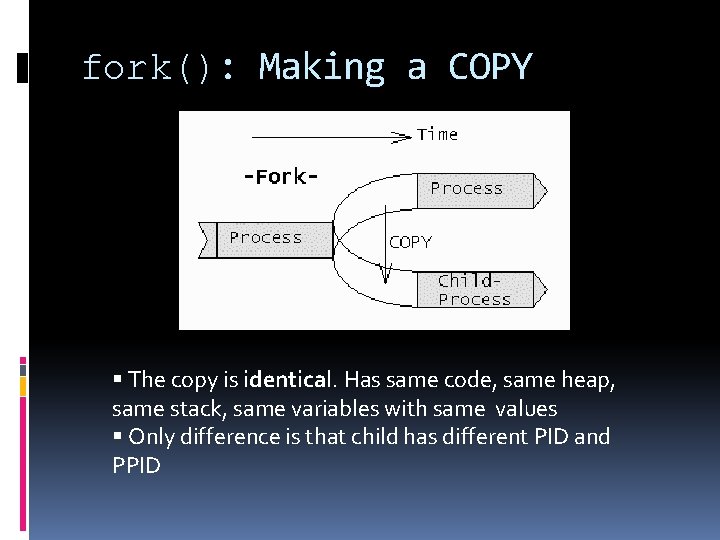 fork(): Making a COPY The copy is identical. Has same code, same heap, same