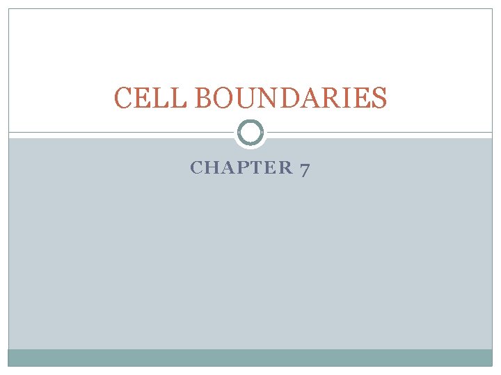 CELL BOUNDARIES CHAPTER 7 