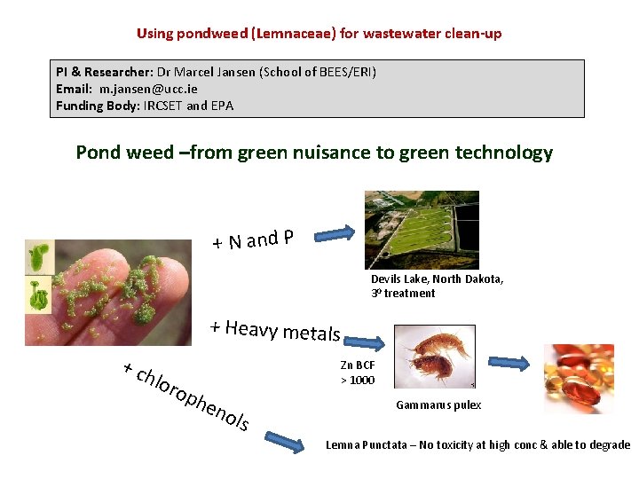 Using pondweed (Lemnaceae) for wastewater clean-up PI & Researcher: Dr Marcel Jansen (School of