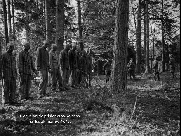 Ejecución de prisioneros polacos por los alemanes. 1942. 