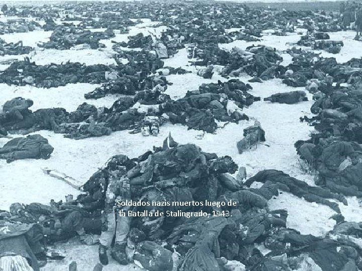 Soldados nazis muertos luego de la Batalla de Stalingrado, 1943. 