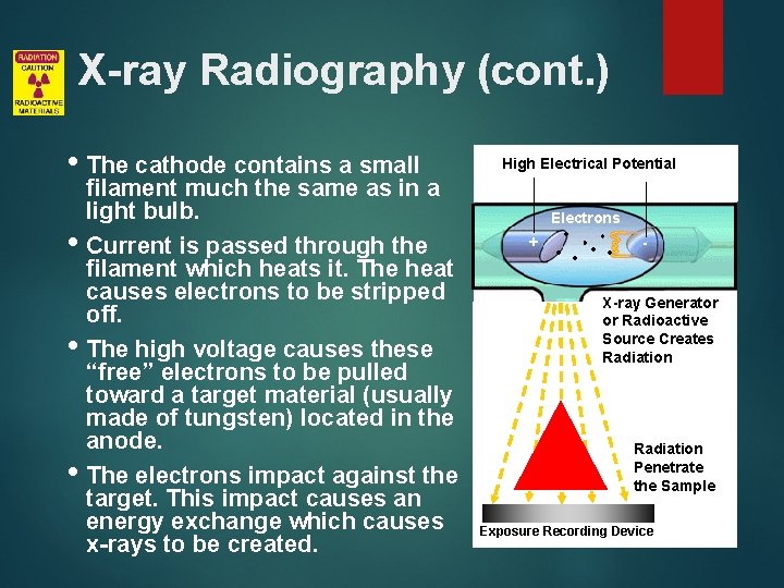 X-ray Radiography (cont. ) • The cathode contains a small filament much the same