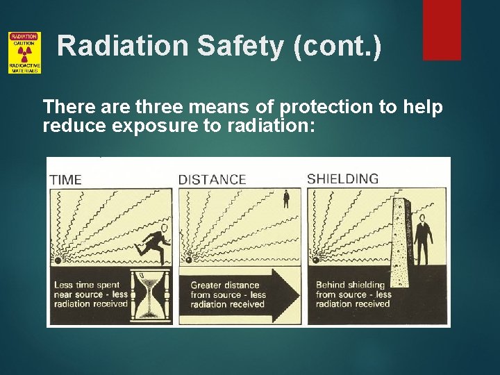 Radiation Safety (cont. ) There are three means of protection to help reduce exposure