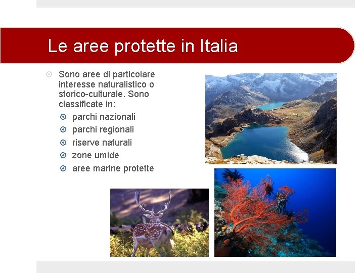 Le aree protette in Italia Sono aree di particolare interesse naturalistico o storico-culturale. Sono