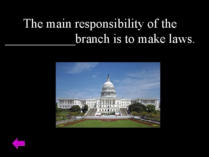 The main responsibility of the ______branch is to make laws. 