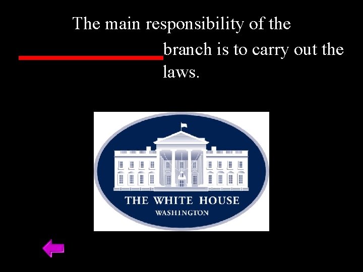 The main responsibility of the _______branch is to carry out the laws. 