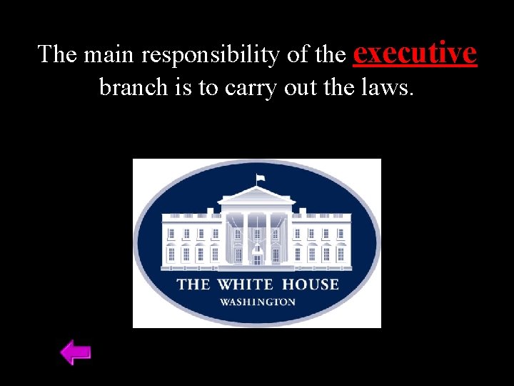 The main responsibility of the executive branch is to carry out the laws. 