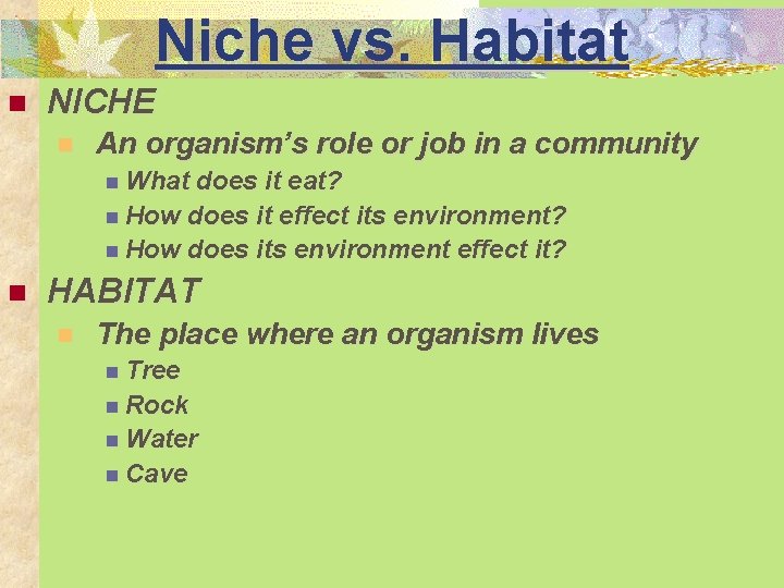 Niche vs. Habitat n NICHE n An organism’s role or job in a community