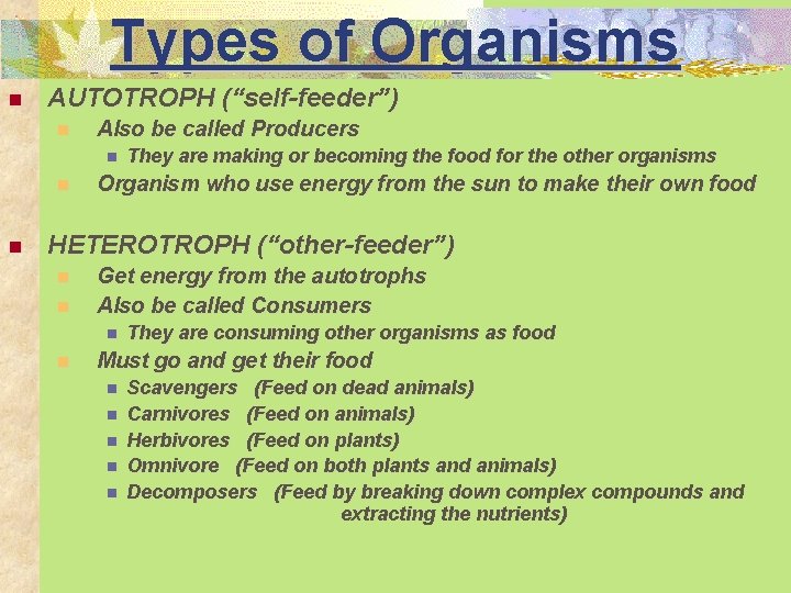 Types of Organisms n AUTOTROPH (“self-feeder”) n Also be called Producers n n n