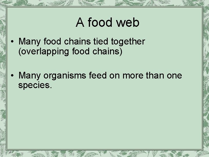 A food web • Many food chains tied together (overlapping food chains) • Many