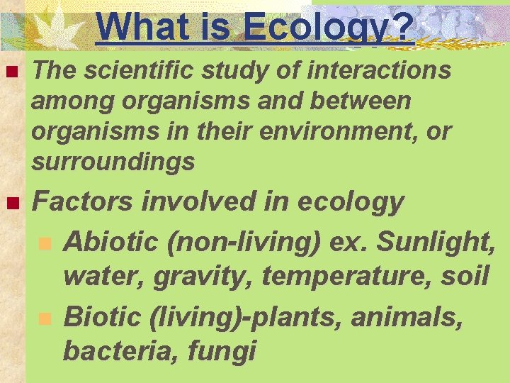 What is Ecology? n The scientific study of interactions among organisms and between organisms