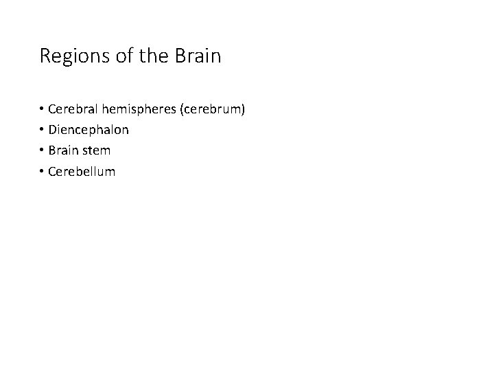 Regions of the Brain • Cerebral hemispheres (cerebrum) • Diencephalon • Brain stem •