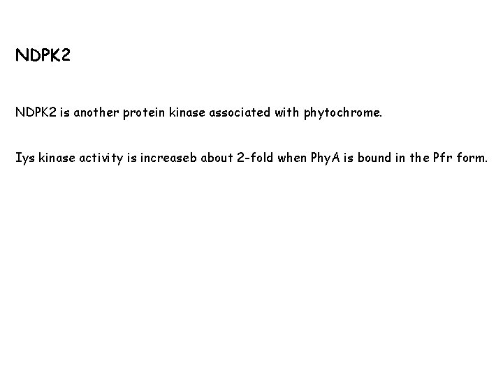NDPK 2 is another protein kinase associated with phytochrome. Iys kinase activity is increaseb