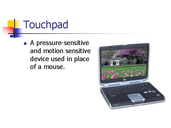 Touchpad n A pressure-sensitive and motion sensitive device used in place of a mouse.