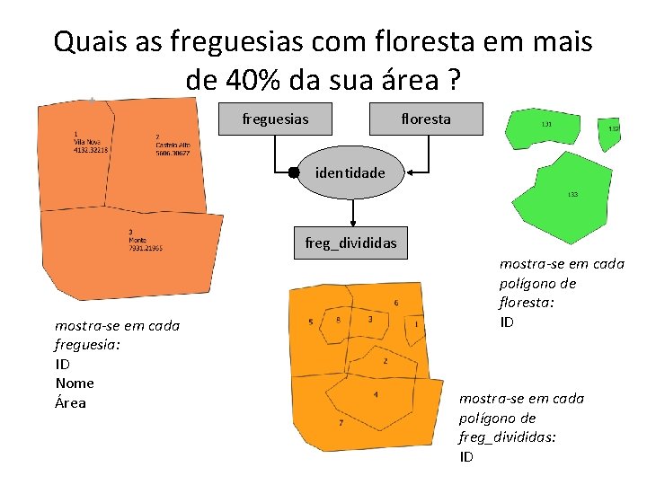 Quais as freguesias com floresta em mais de 40% da sua área ? freguesias