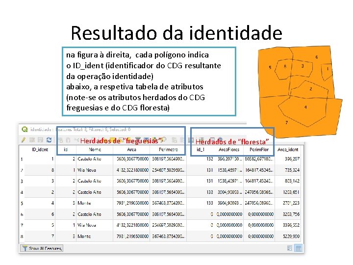 Resultado da identidade na figura à direita, cada polígono indica o ID_ident (identificador do