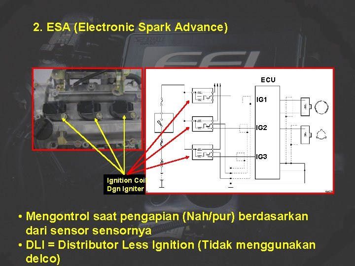 2. ESA (Electronic Spark Advance) ECU IG 1 IG 2 IG 3 Ignition Coil