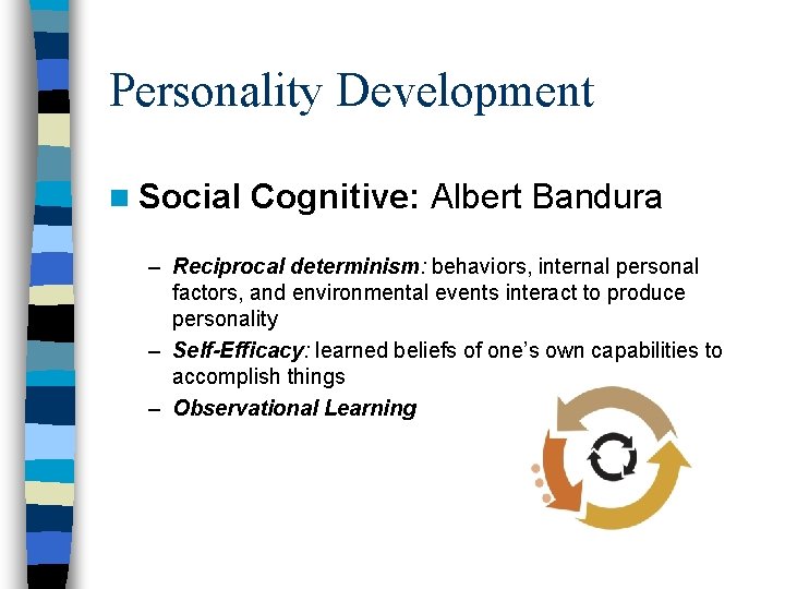 Personality Development n Social Cognitive: Albert Bandura – Reciprocal determinism: behaviors, internal personal factors,