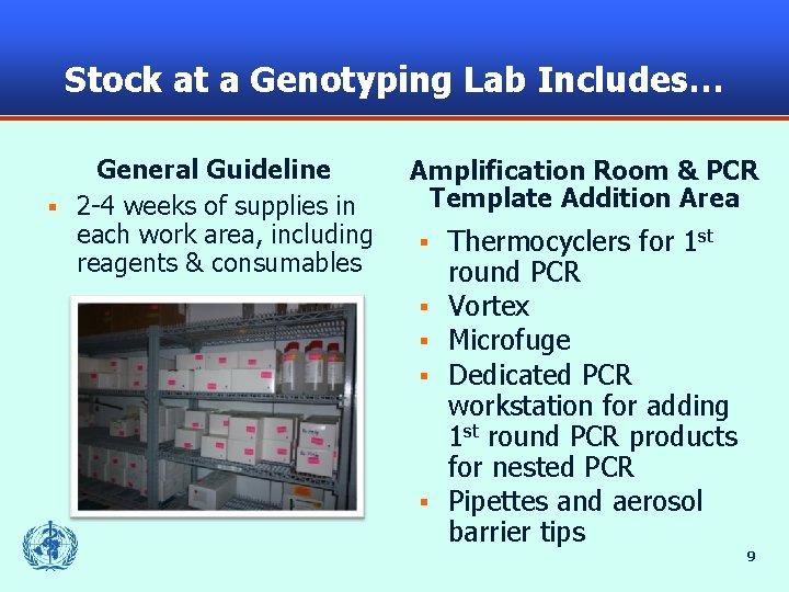 Stock at a Genotyping Lab Includes… General Guideline § 2 -4 weeks of supplies